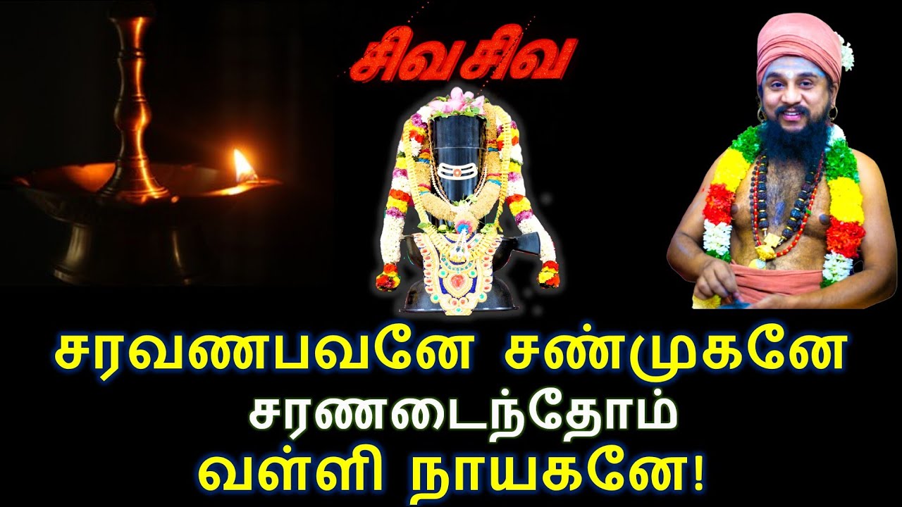 நம்மை காக்கும் கடவுள்! சரவணபவனே சண்முகனே சரணடைந்தோம்  வள்ளி நாயகனே!