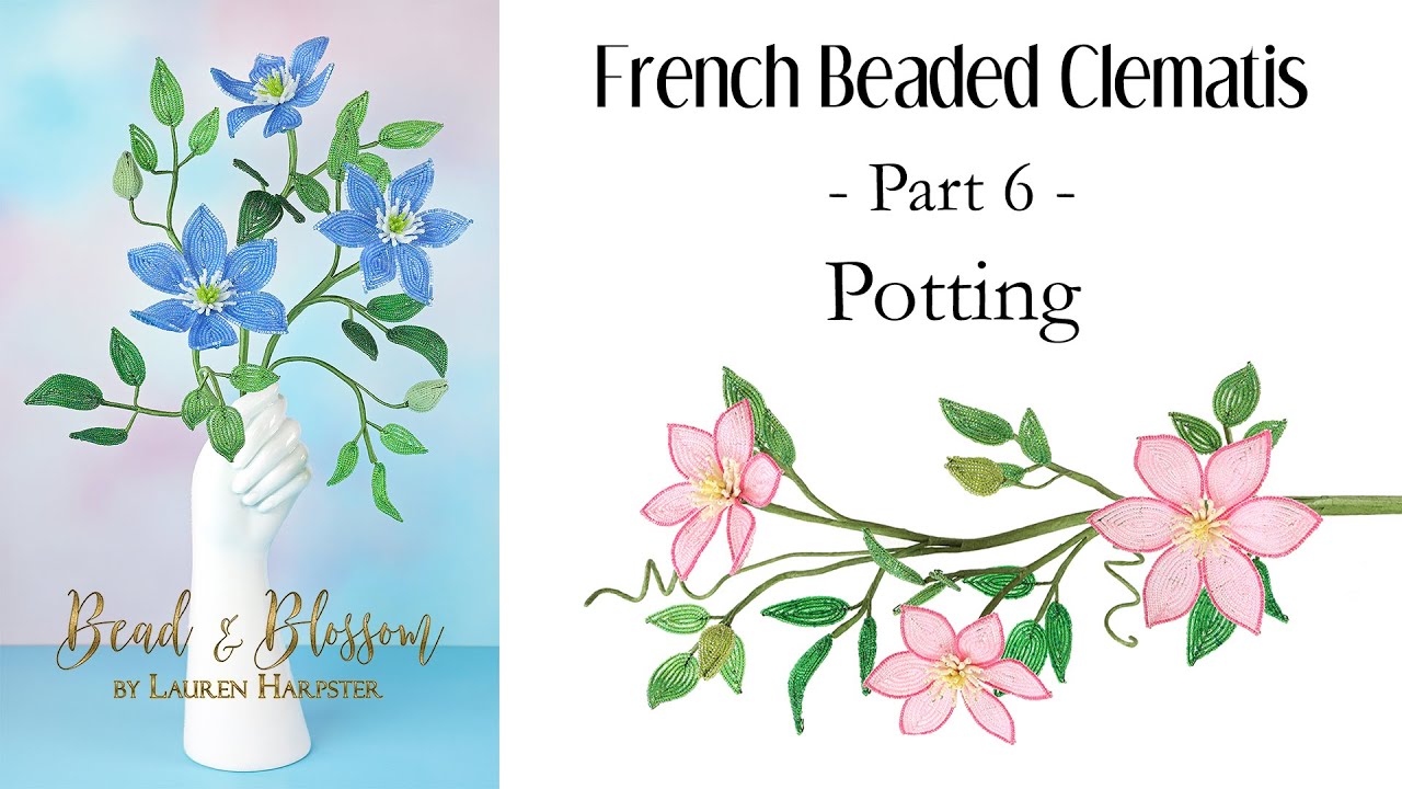 French Beaded Clematis Part 6 - Potting and Displaying in a Vase