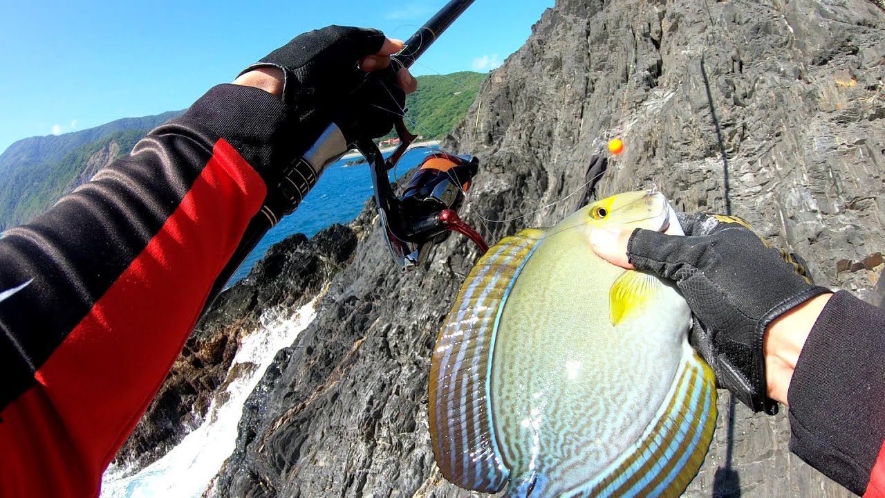 好久沒來釣倒吊了，魚兒們果然還是很澎場，又是一次開心的釣遊，每個人都收穫滿滿啦!!!