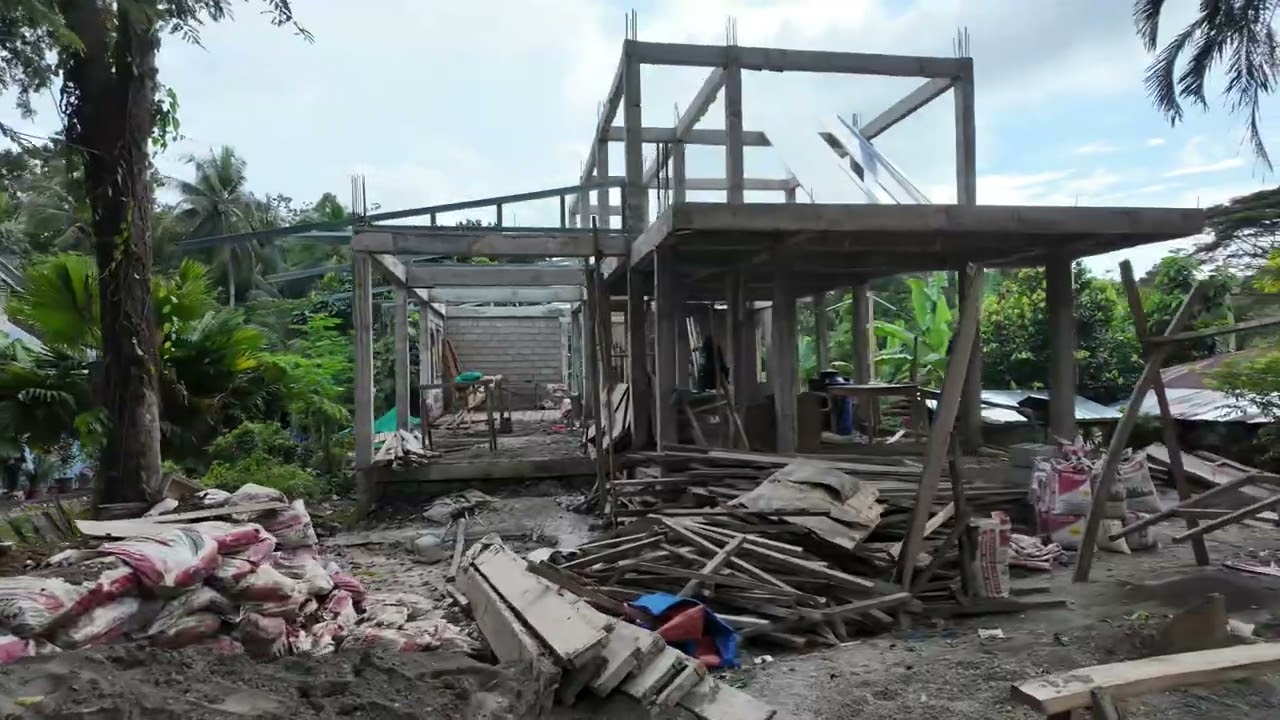 Dreamhouse construction week 23