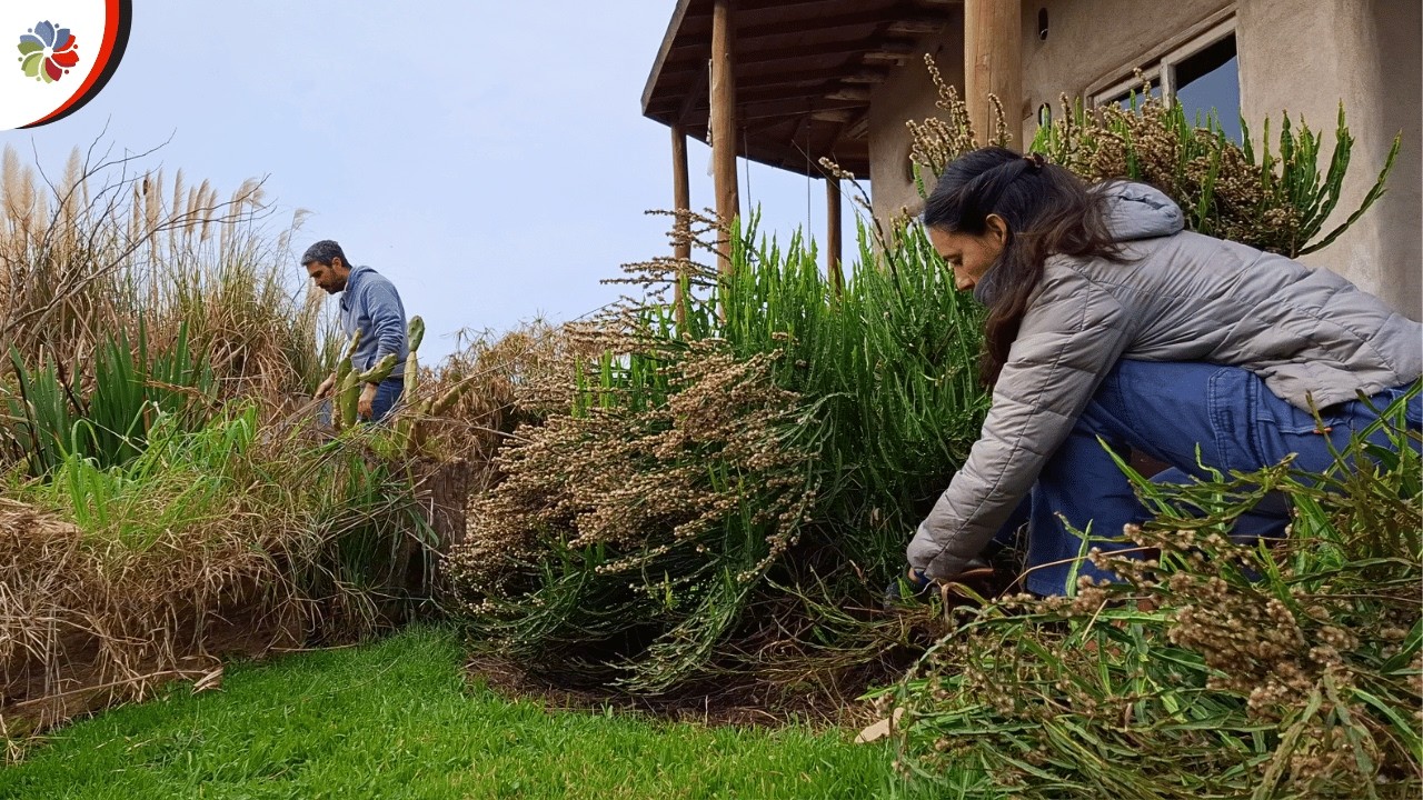 PRIMEROS PASOS para un SUELO FÉRTIL en la MINI GRANJA👨‍🌾