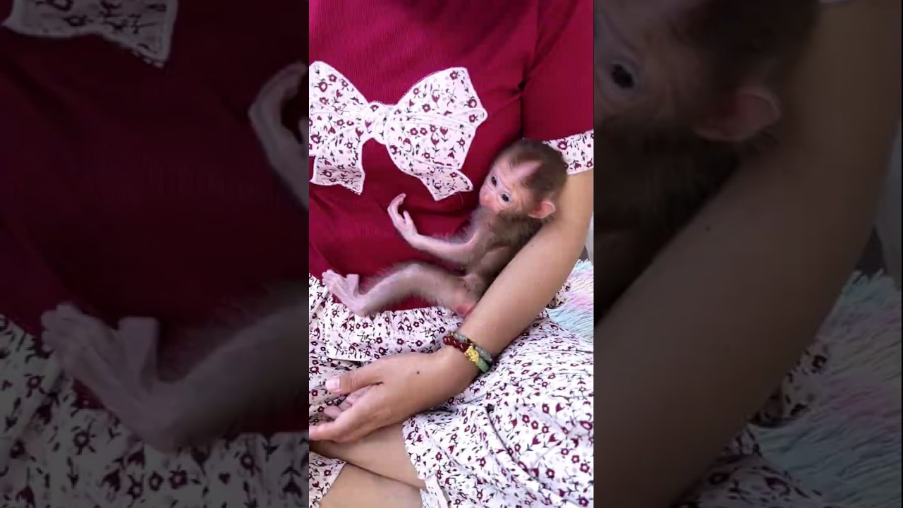 Tiny Jumie&rsquo;s First Week Looks SKINNNY But With Full Of LUV