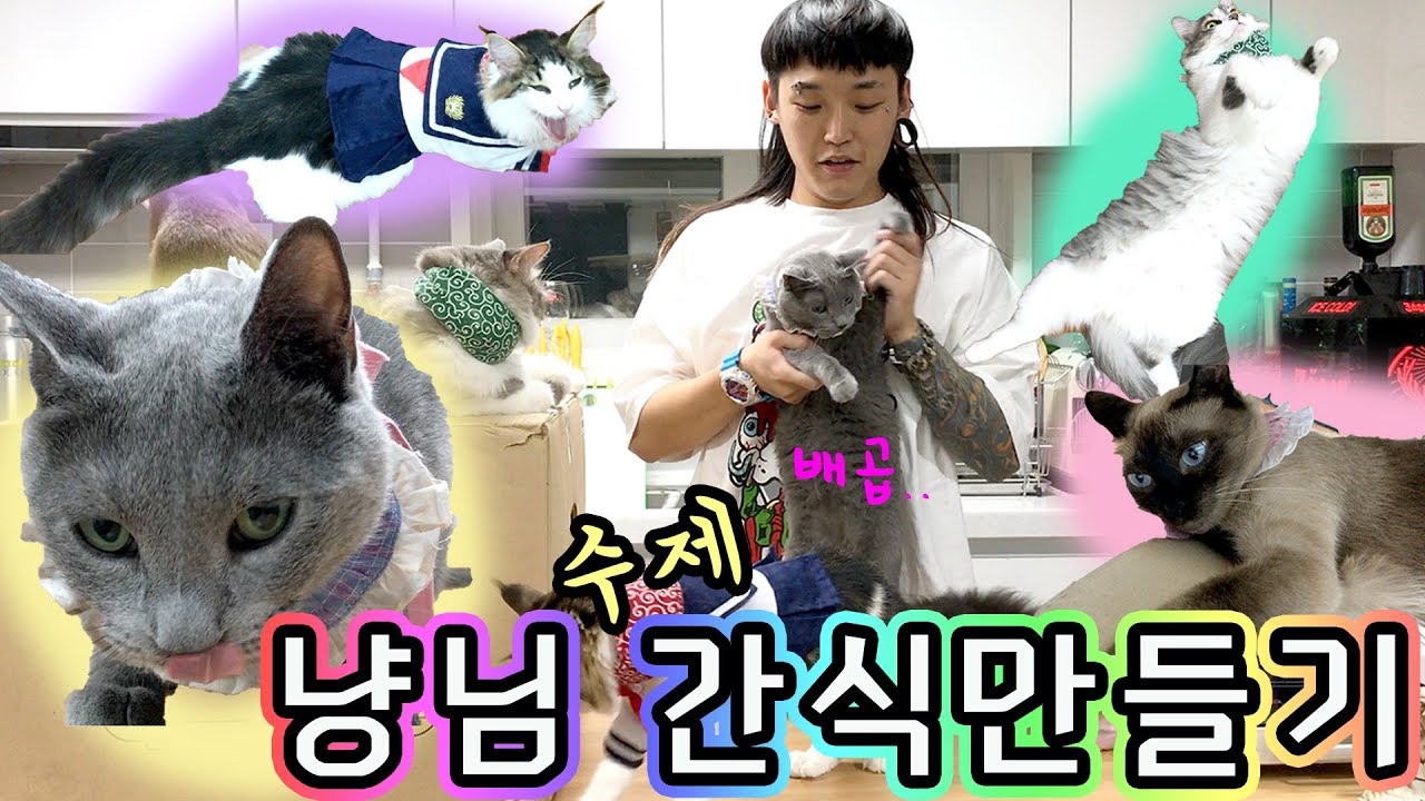 냥냥4총사의 아빠냥 려리의 건강수제간식만들기 ! 식품건조기 리큅 IR D5 ! ㅣ-알뜰살뜰 렬주부