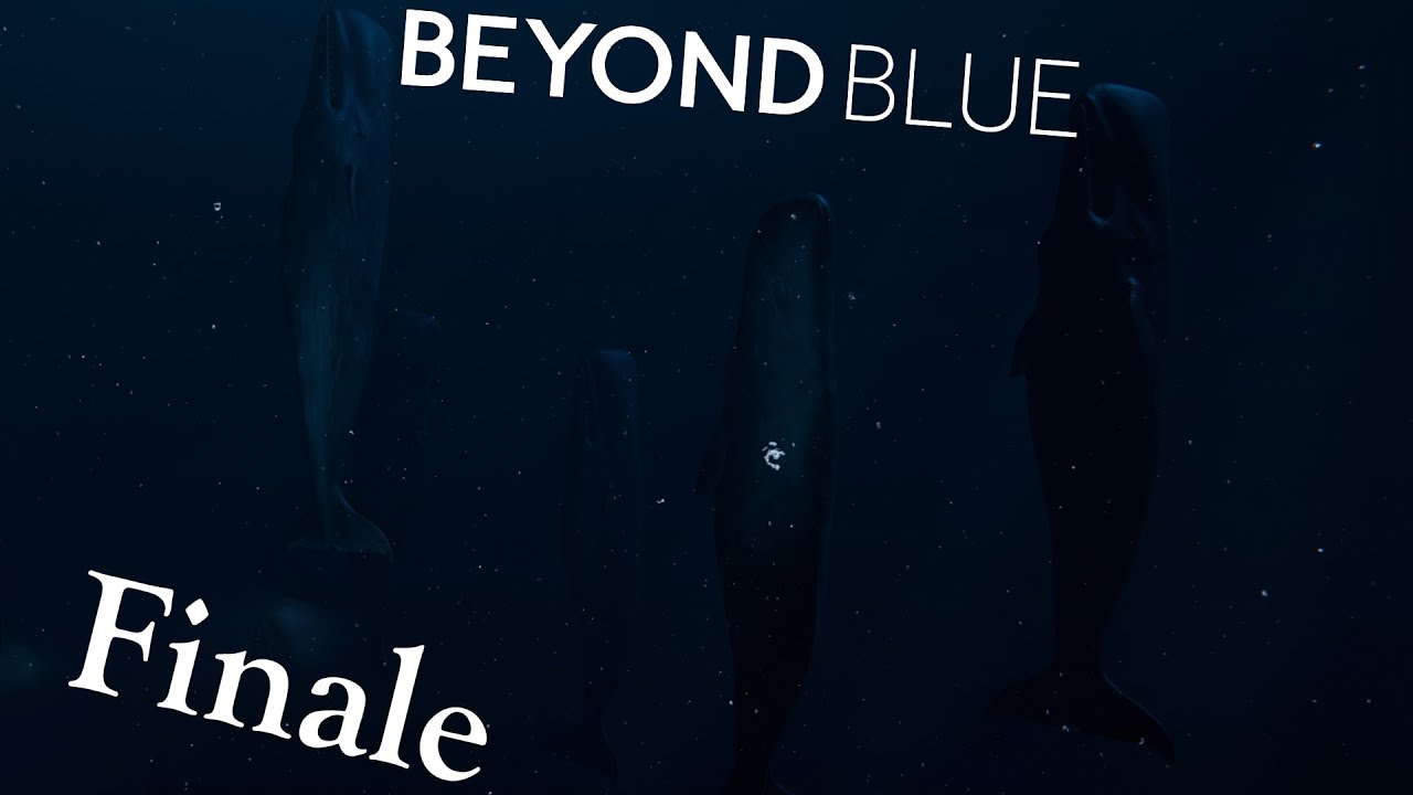 Beyond Blue Finale- A Not so Happy Ending