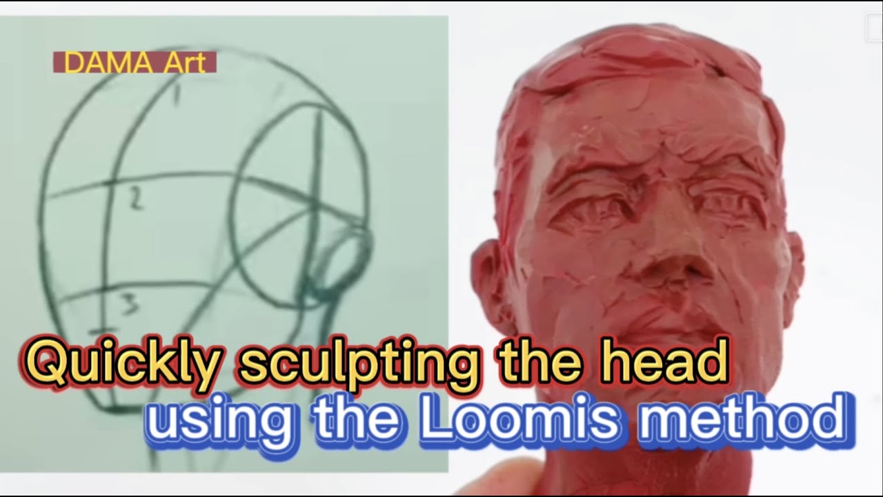 How to sculpturea face using the Loomis method