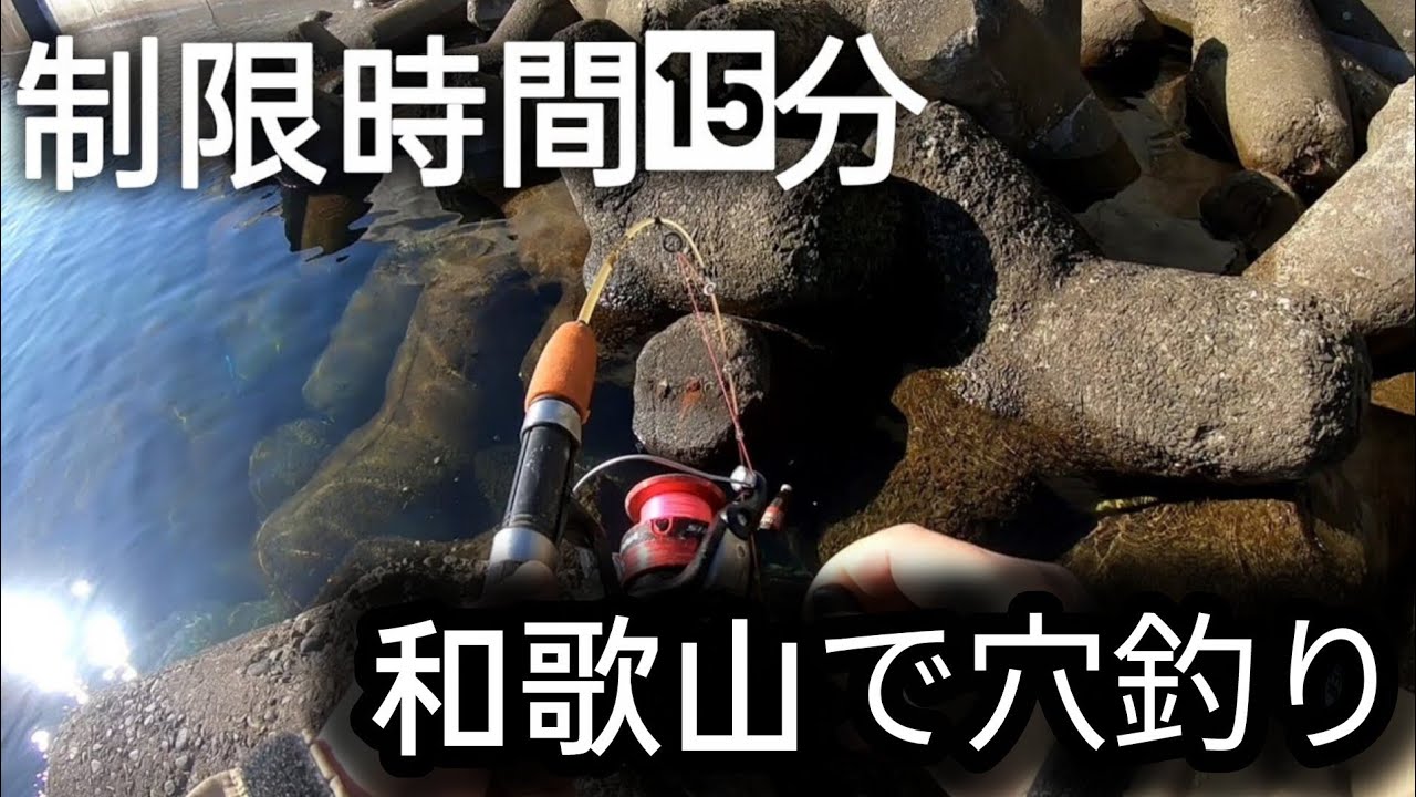 【穴釣り】15分で釣れるか？穴釣りのスリルを体験！／南紀の海でフカセ釣り！釣果はどうなる？！！
