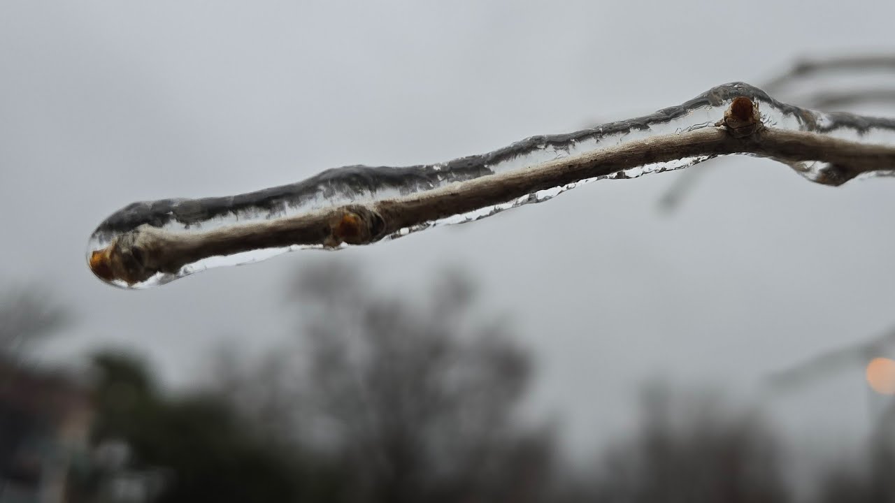 ICE STORM in Montreal - live coverage - Wednesday, March 11, 2026