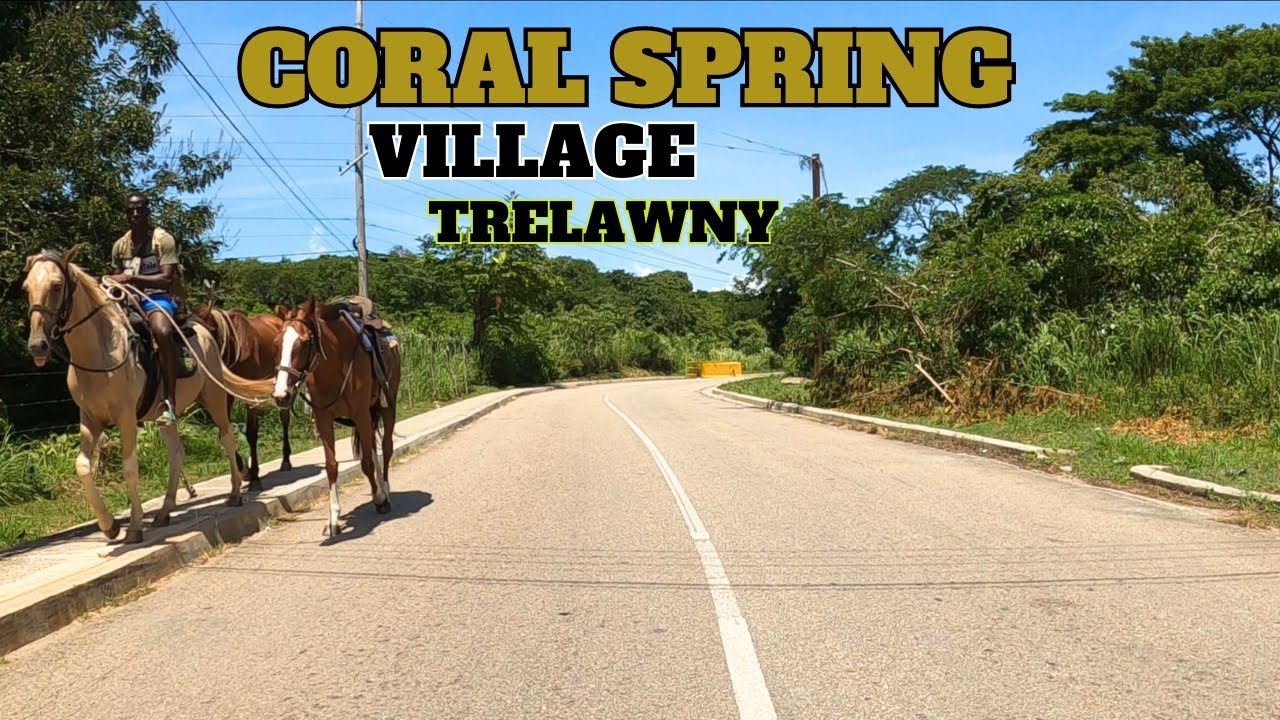 CORAL SPRING VILLAGE TRELAWNY JAMAICA , JAMAICA TOUR 2023