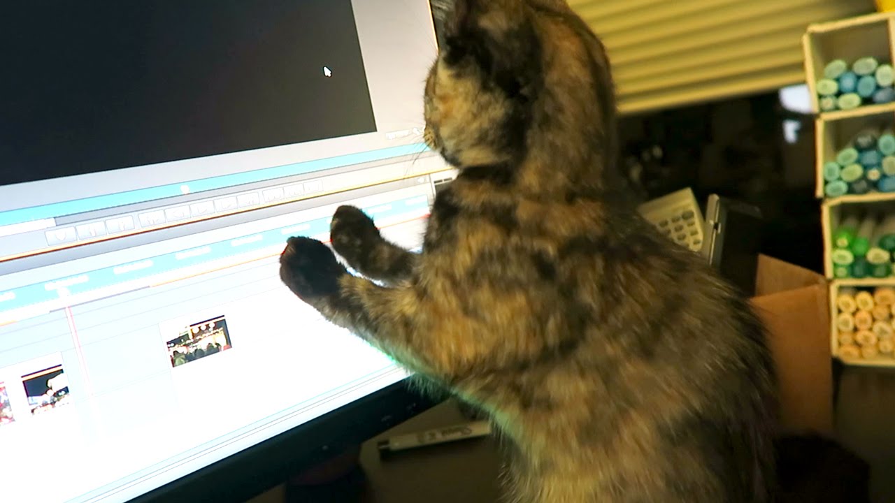 EDITING HELPER