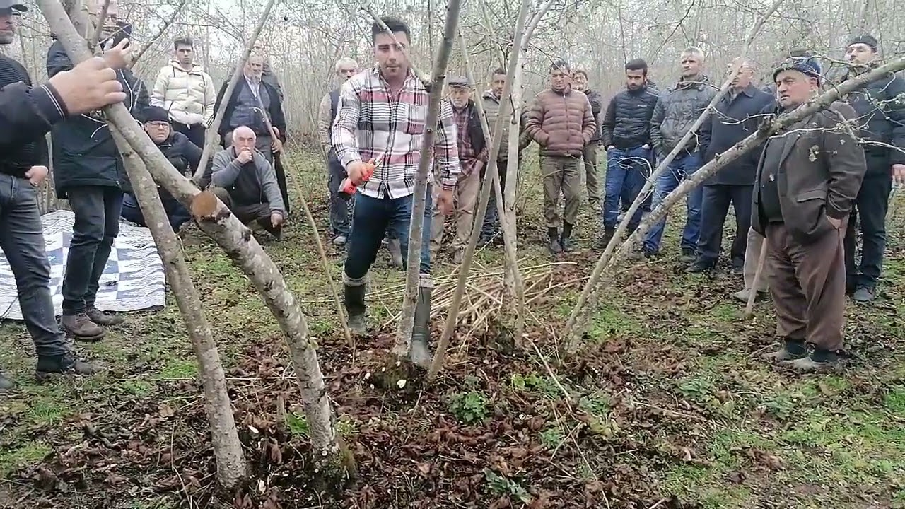 Bahçelerde izimiz.......