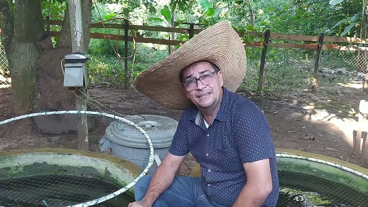 CRIA DE PECES SIN RECAMBIO DE AGUA II