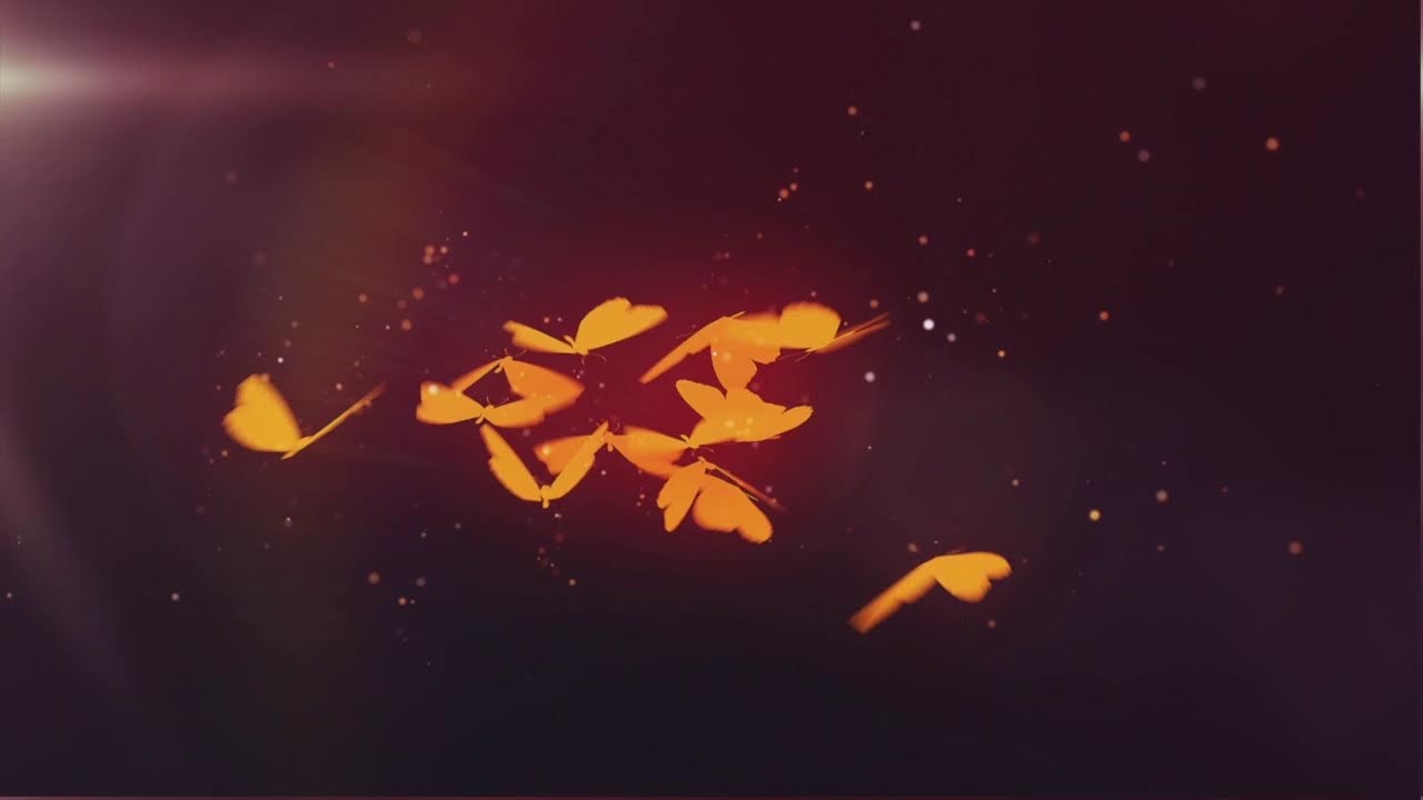 Tropikal Soundz Live with DJ Rudy 04/10/25