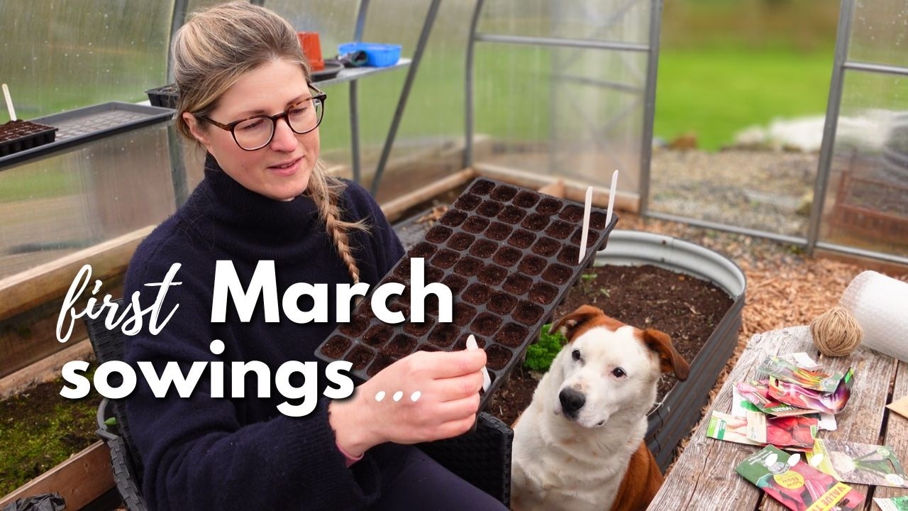 Небольшое начало мартовского посева | Ранневесеннее садоводство в Ирландии