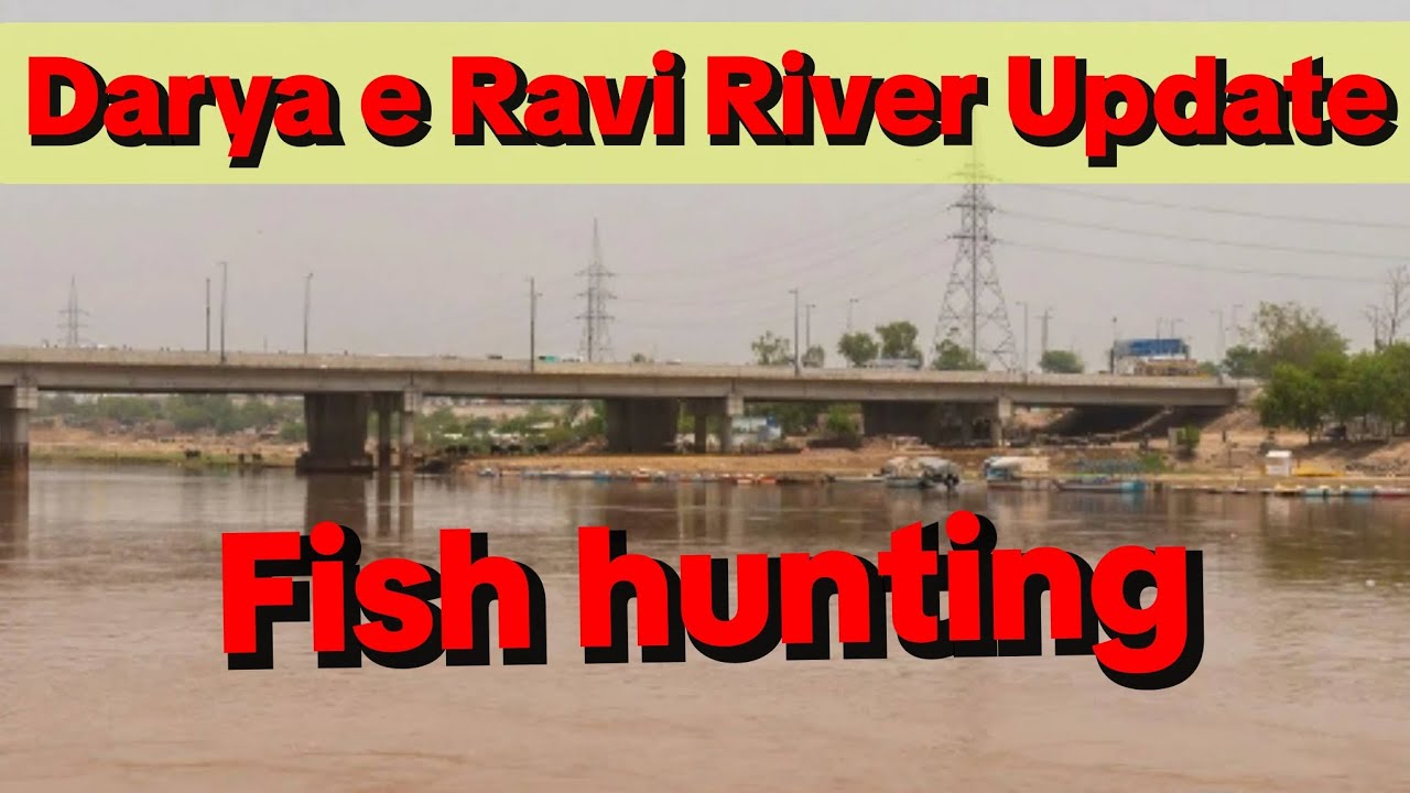 Fish Hunting Daray Ravi River Lahore January 26, 2026