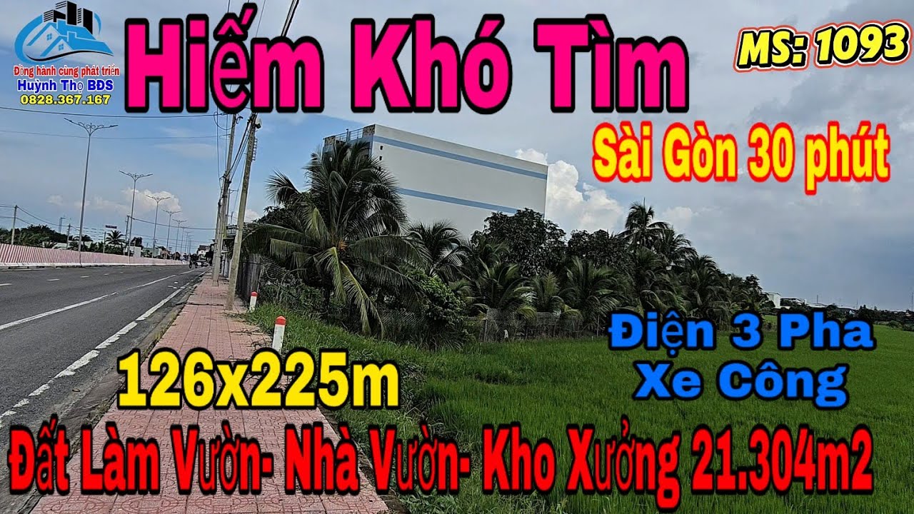 Nhà Vườn Long An | Đất làm vườn trồng ăn trái 21.304m² Tuyệt Đẹp Mỹ Phú ( Mỹ An, Tây Ninh)