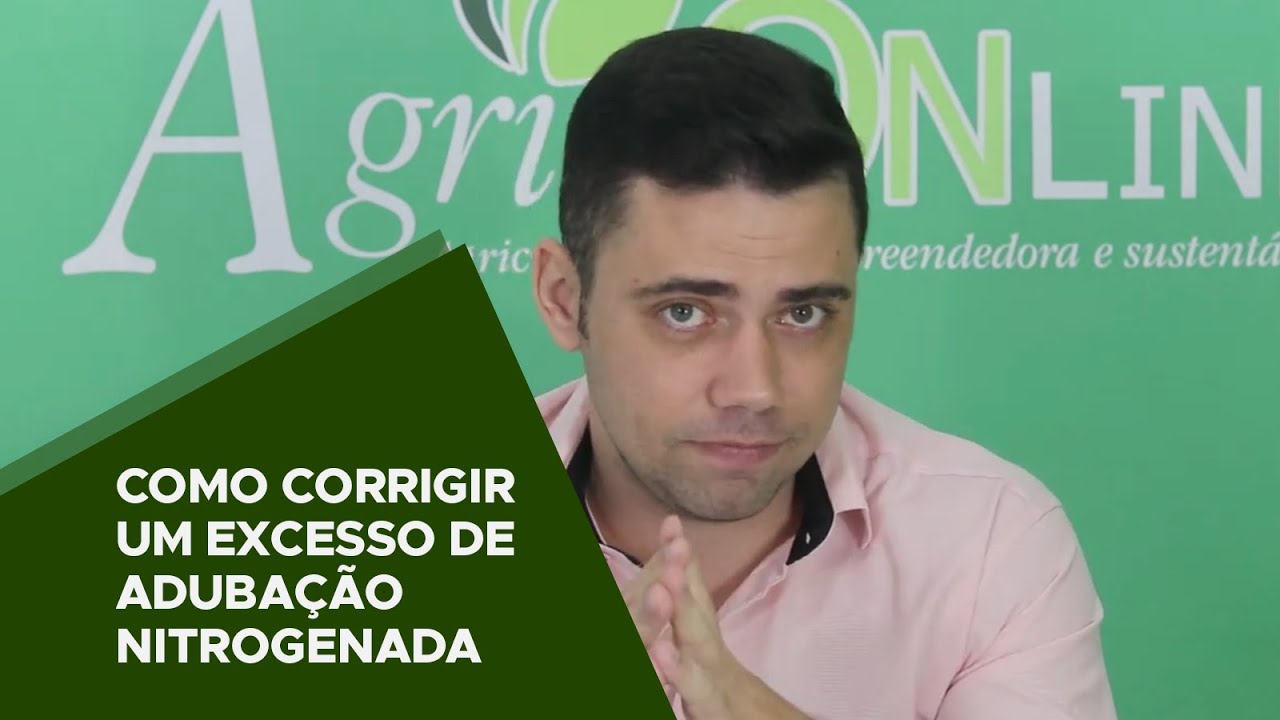 COMO CORRIGIR UM EXCESSO DE ADUBA&Ccedil;&Atilde;O NITROGENADA