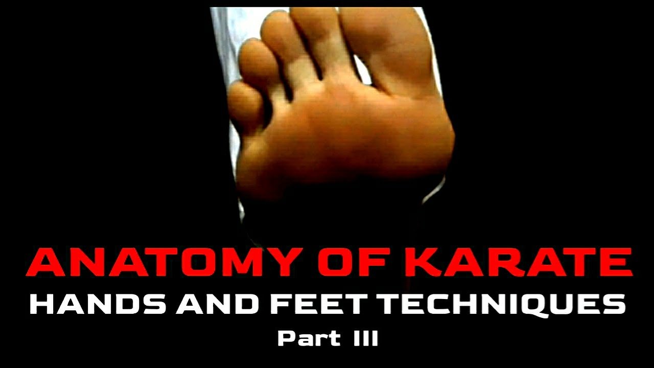 ANATOMY OF KARATE HANDS AND FEET TECHNIQUES part - 3  |  KYOKUSHIN VLOG-31