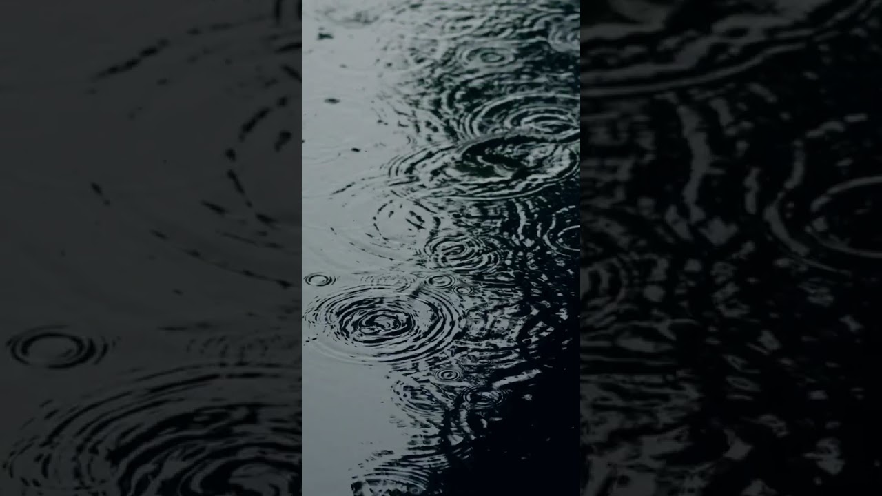 Relaxing Sound of Rain Puddles Light Rain and Rain Drops Falling