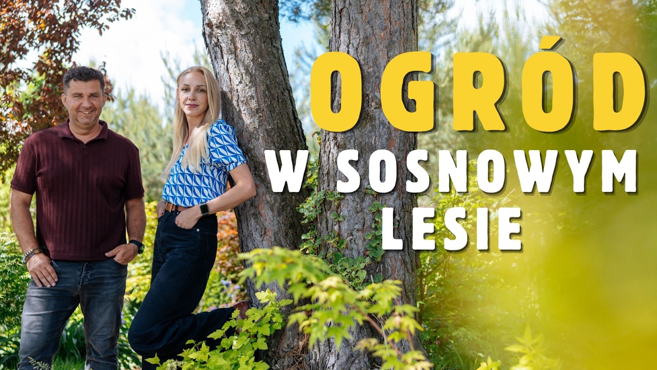 Zbudowała rajski ogr&oacute;d na SAMYM PIASKU! Efekt WOW w środku sosnowego lasu. Wow!Garden 2026