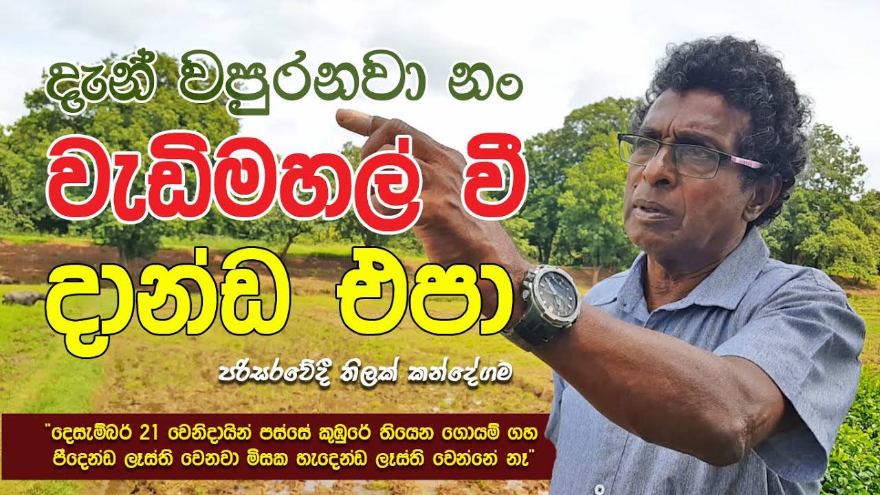 දැන් වපුරනවා නං වැඩිමහල් වී දාන්ඩ එපා - තිලක් කන්දේගම / Traditional Rice Farming Sri Lanka