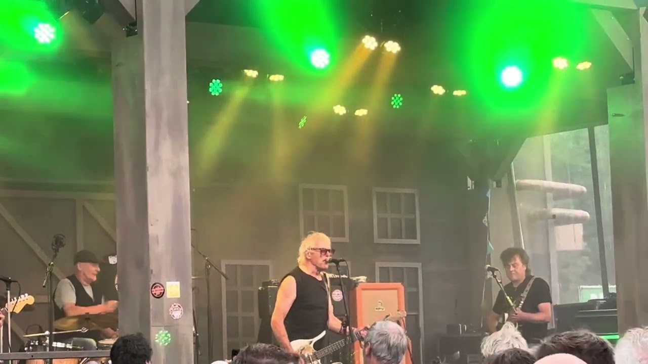 The Bintangs - Snake In The Grass, Zwarte Cross Festival 22/7/2023
