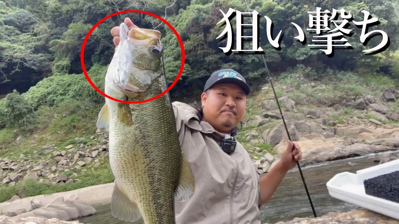 タイガンで対岸を狙い撃ったら襲われた！