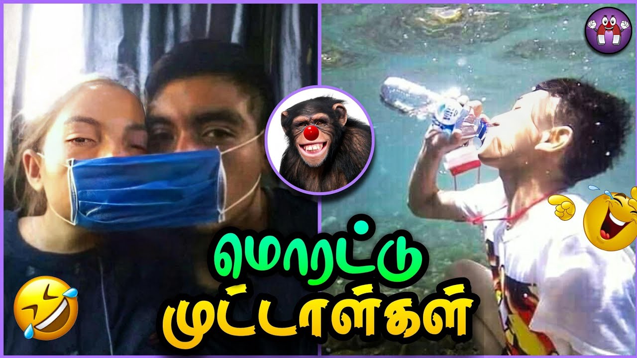 மொரட்டு முட்டாள்களின் சம்பவங்கள் | Funny stupid | The Magnet Family 2.0