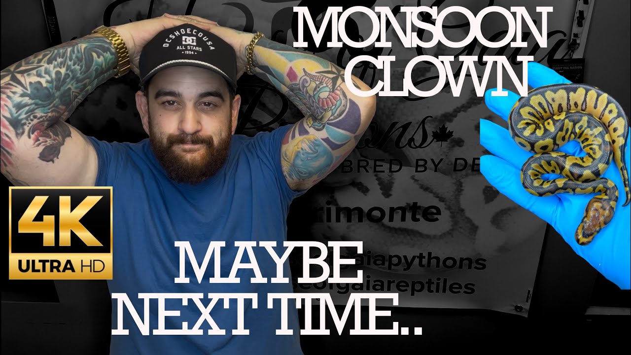 Did we produce a Monsoon Clown!? UPDATE VIDEO!!
