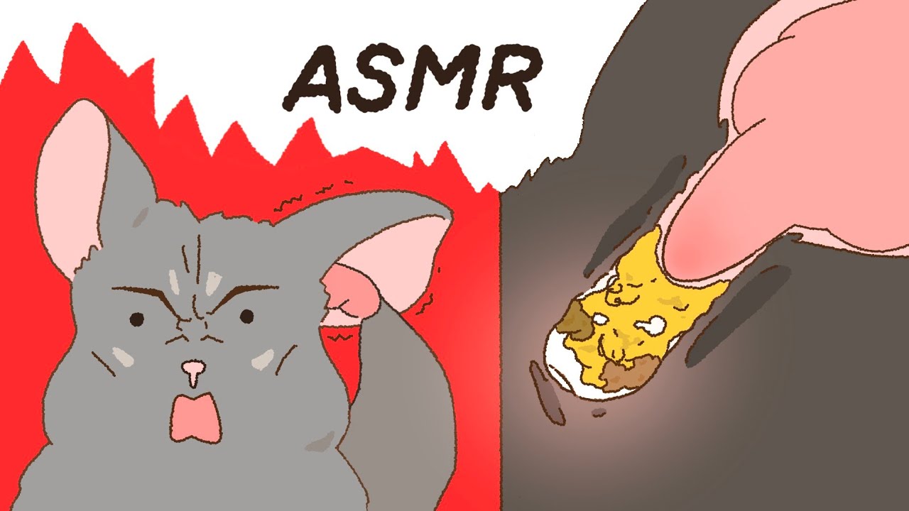 Chinchilla's visual Ear Cleaning👂🏻 [ASMR animation]