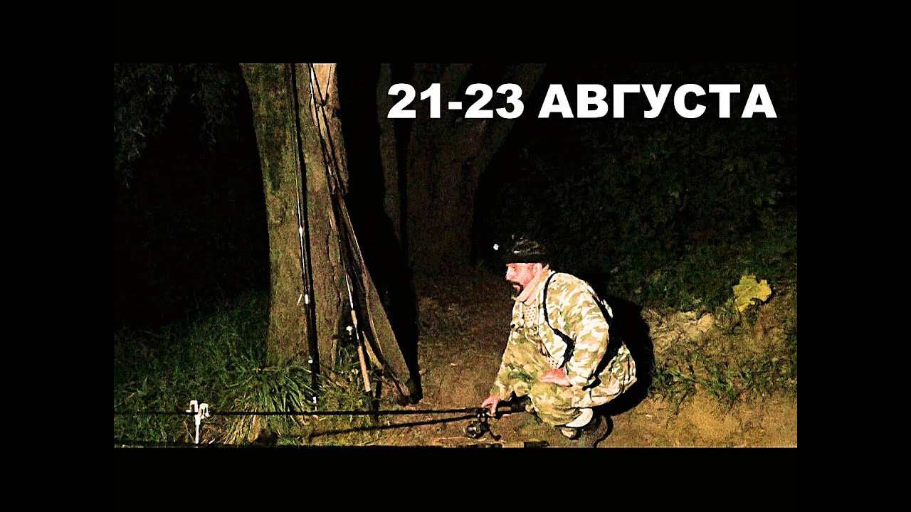 Рыбалка с двумя ночевками. Донки. Резинки на хищника. Сомики, судачки, берши и окунь на живца.