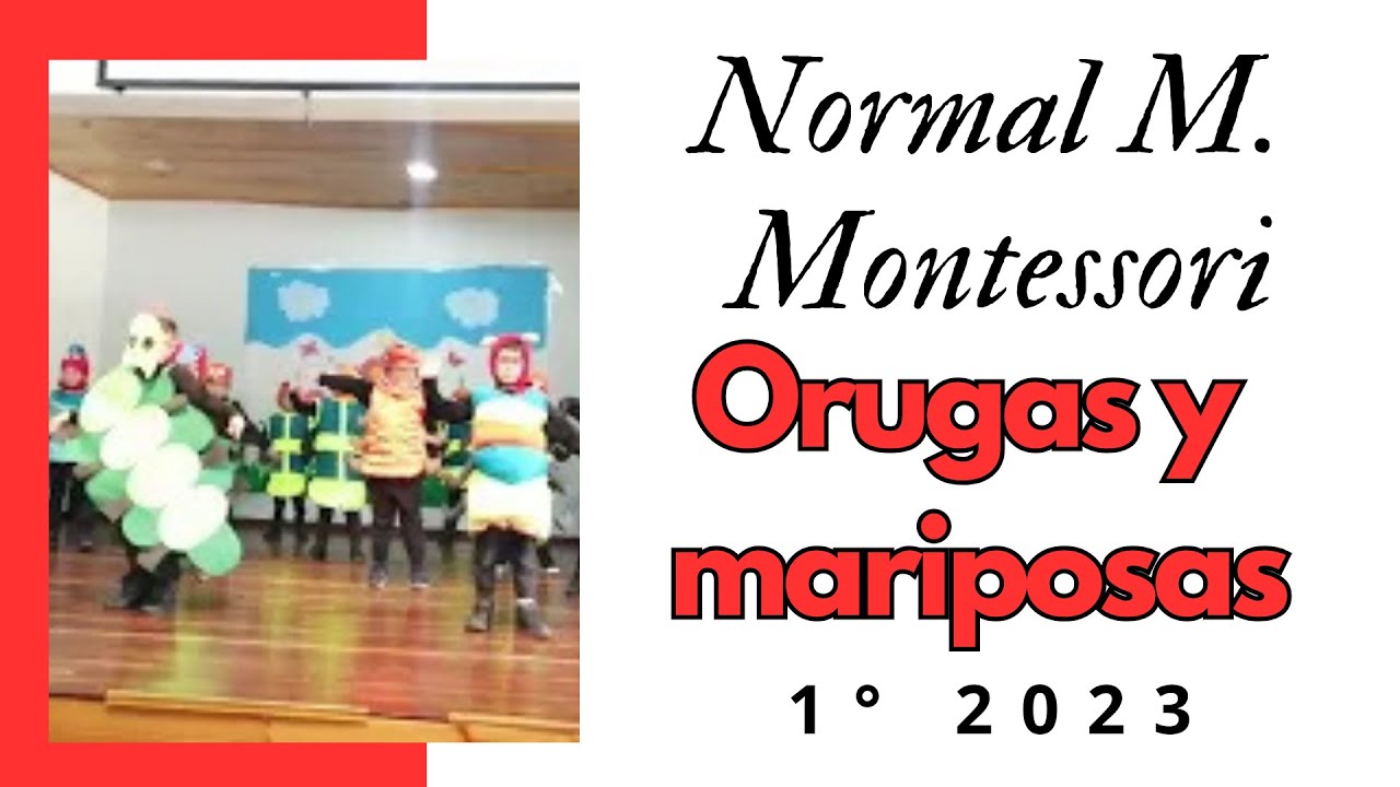 ENSDMM - Orugas y mariposas 105