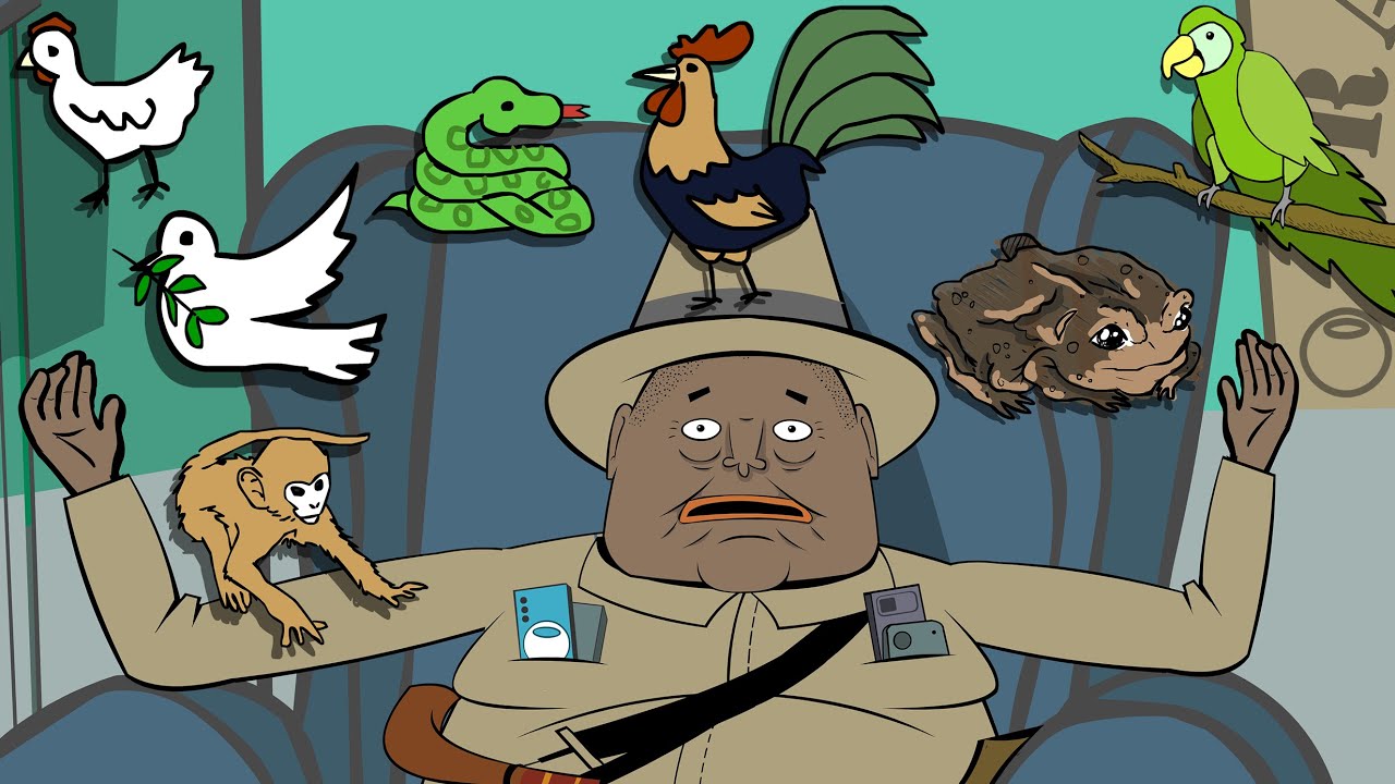 Los animales según el Apóstol Chago.