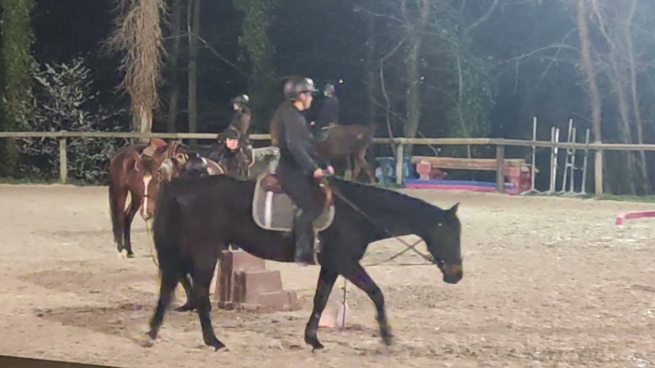 05.03.2026 - Vidéo 01