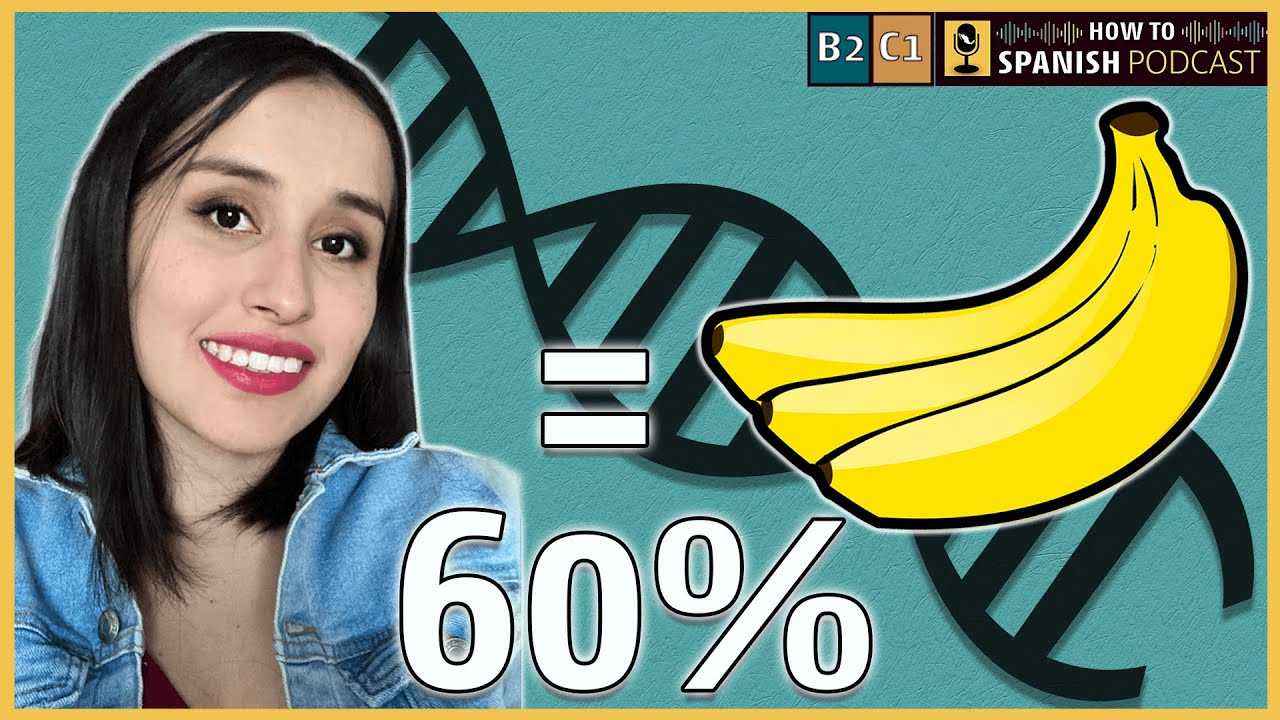 Are we truly unique? Let's talk about DNA and genetics in SPANISH - How to Spanish Podcast