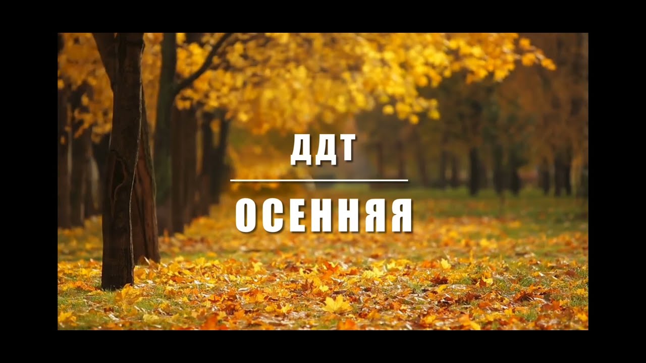 ДДТ - Осенняя - Guitar Karaoke / Караоке под гитару