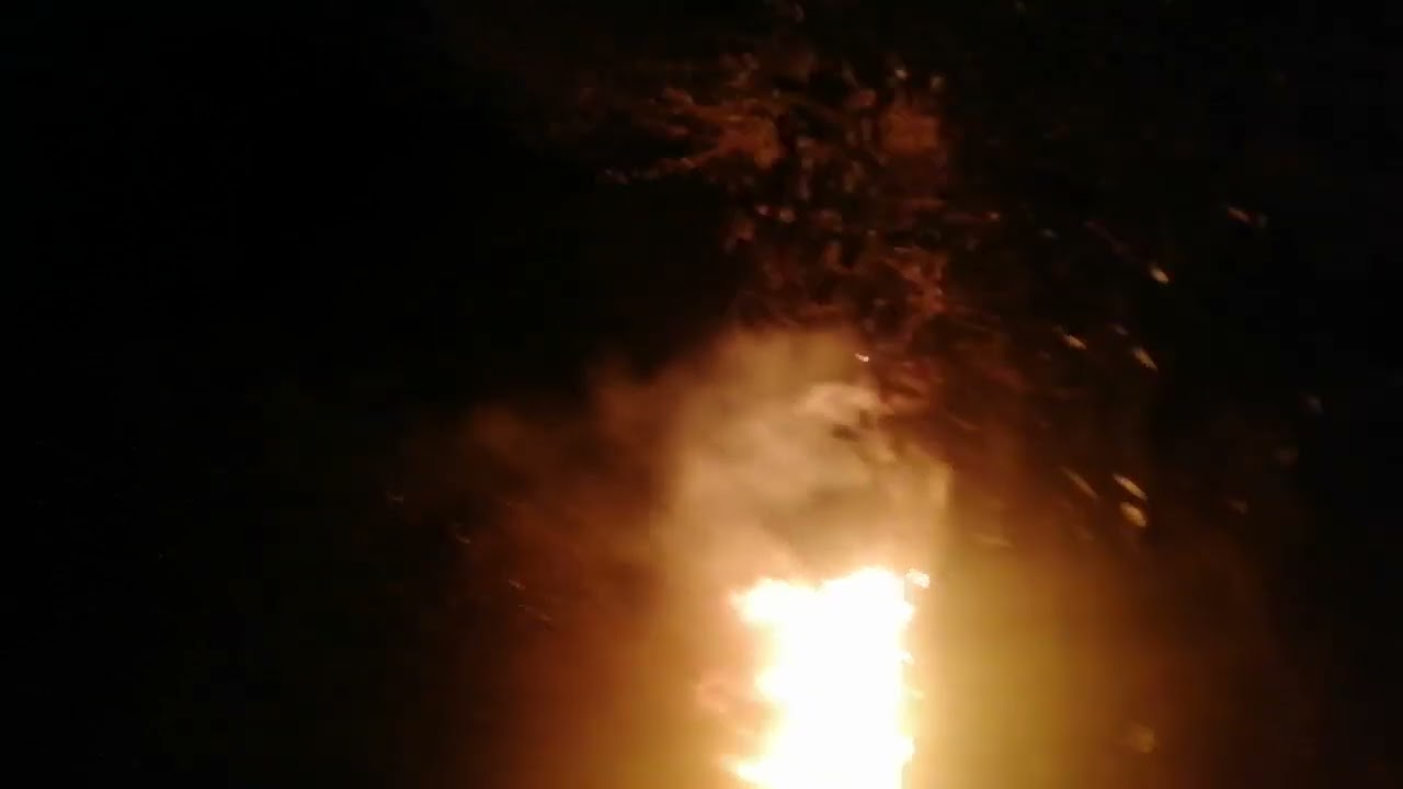 15 februarie 2026
