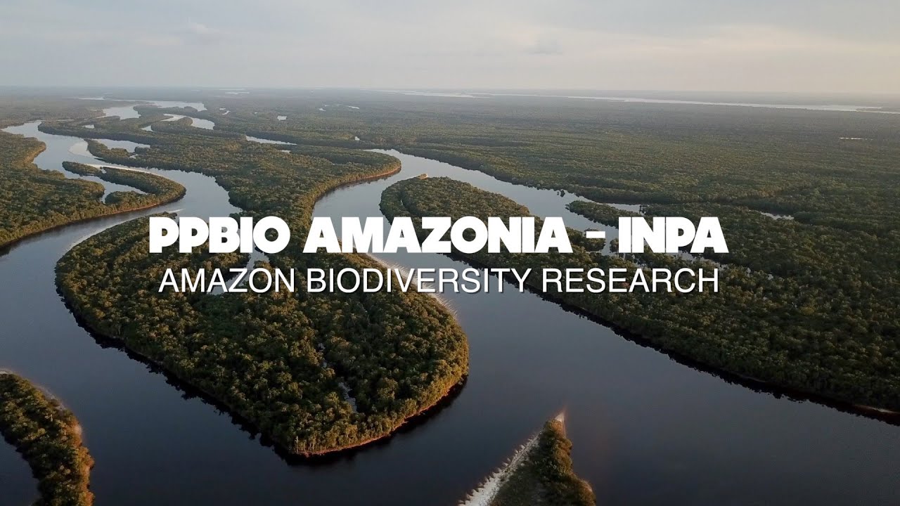 PPBio Amazonia - INPA