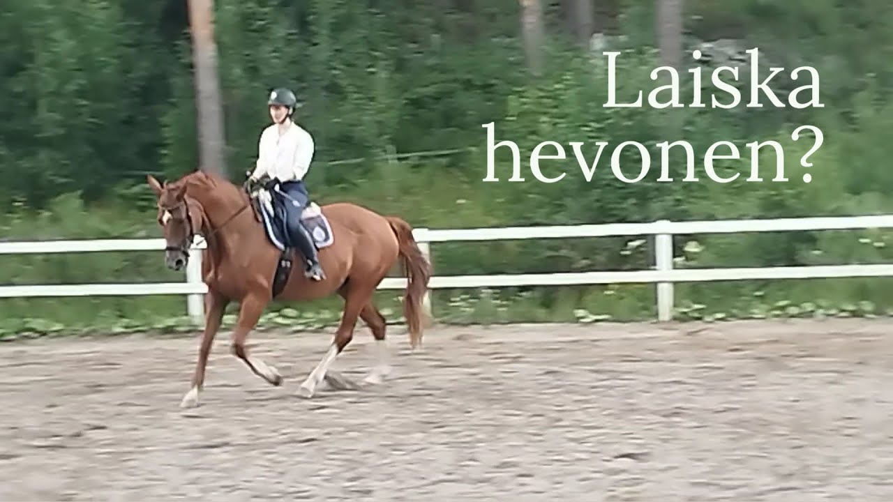 Miten ratsastaa 
