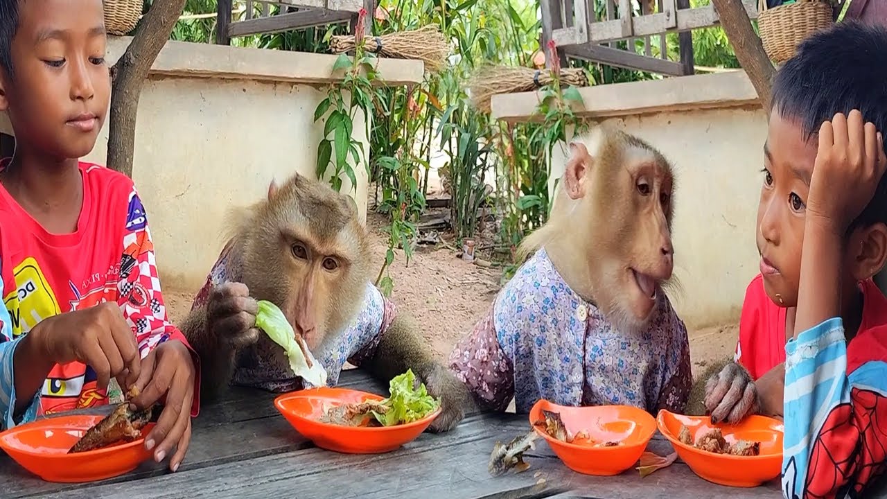 Abii and SokYaa Eat Together Like True Siblings  - Pure Love in Action