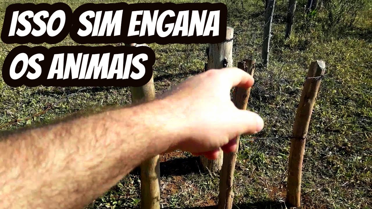 Dica como construir um engana cavalo burro evitar que pessoas arrebentem a cerca. Modelo de passa um