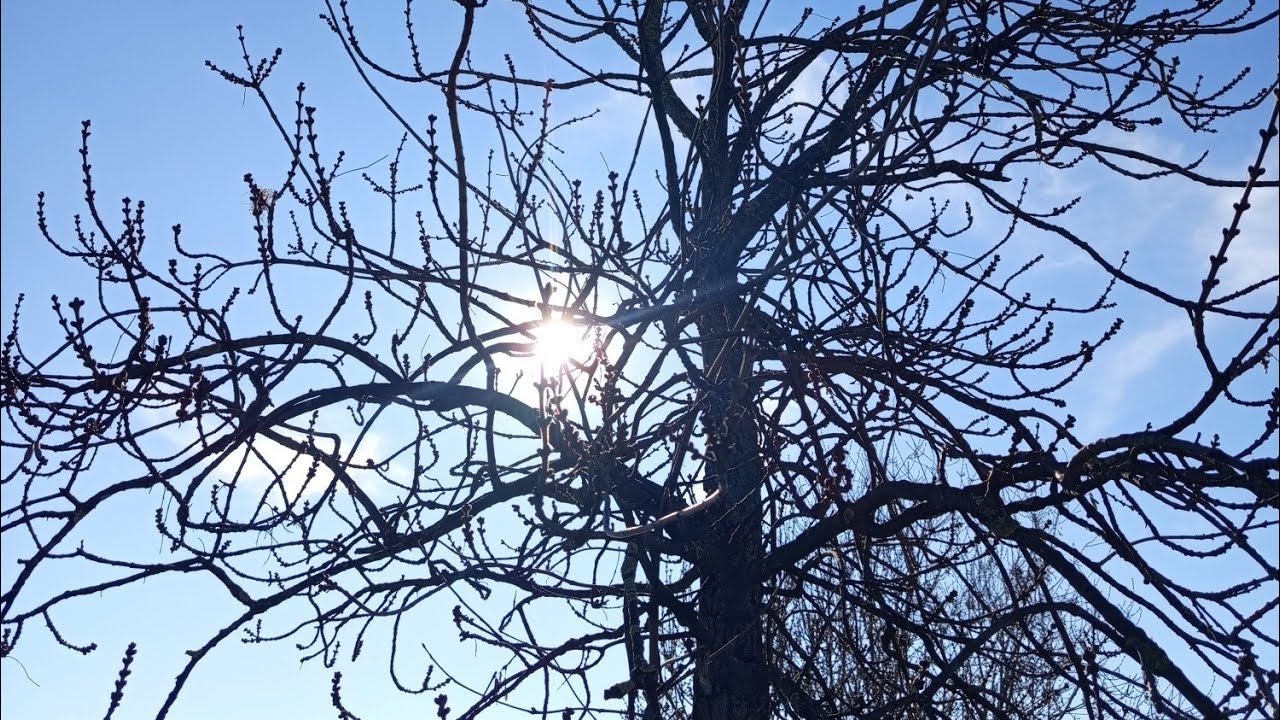 Sagittario Luna nuova in Aquario (dal 17 febbraio al 19 marzo)