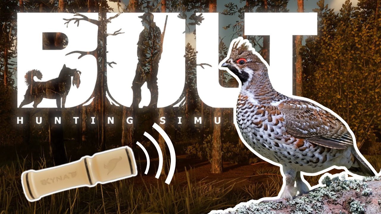 How to Hunt Hazel Grouse in Bult | Bult Hunting Simulator