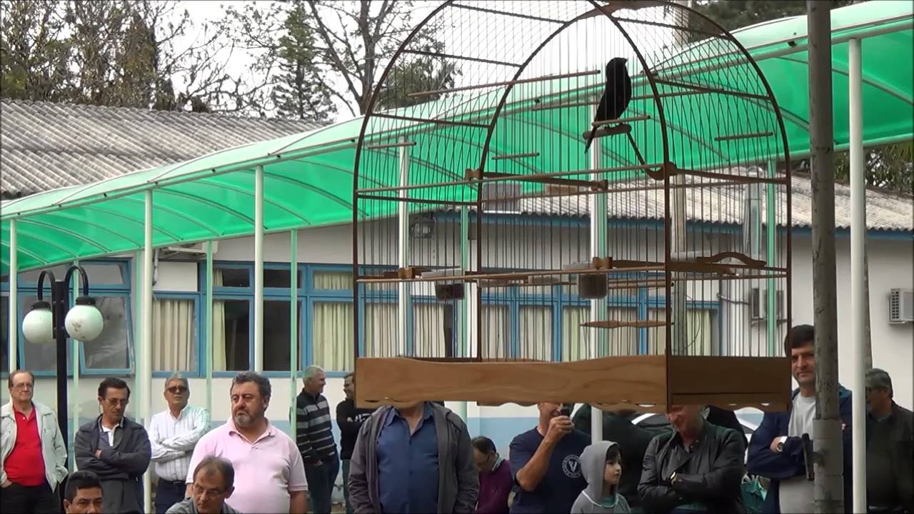 1° Lugar MILIONÁRIO CLÁSSICO COM rep