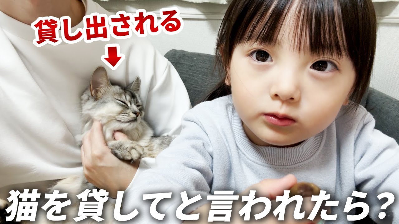 大好きな猫を貸してほしいと言われたら？おやつ中の4歳娘のリアクションやいかに…