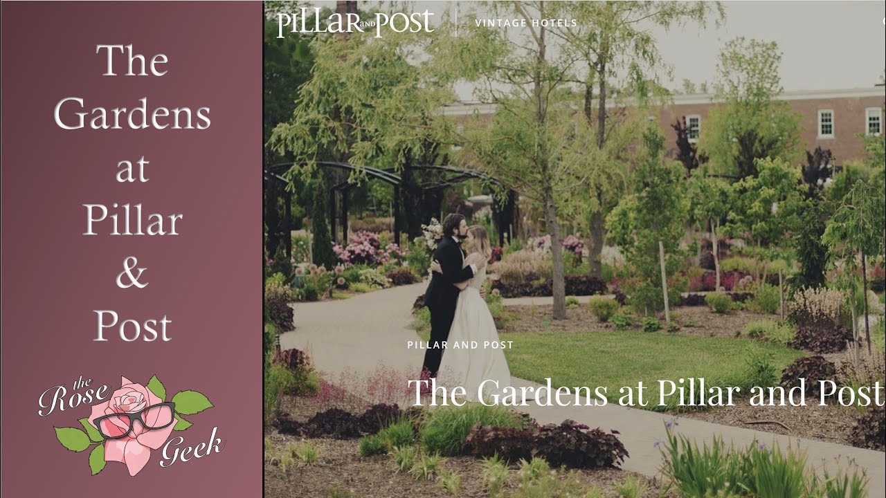 🌹 Pillar and Post / Wedding Venue / Garden Tour Canada
