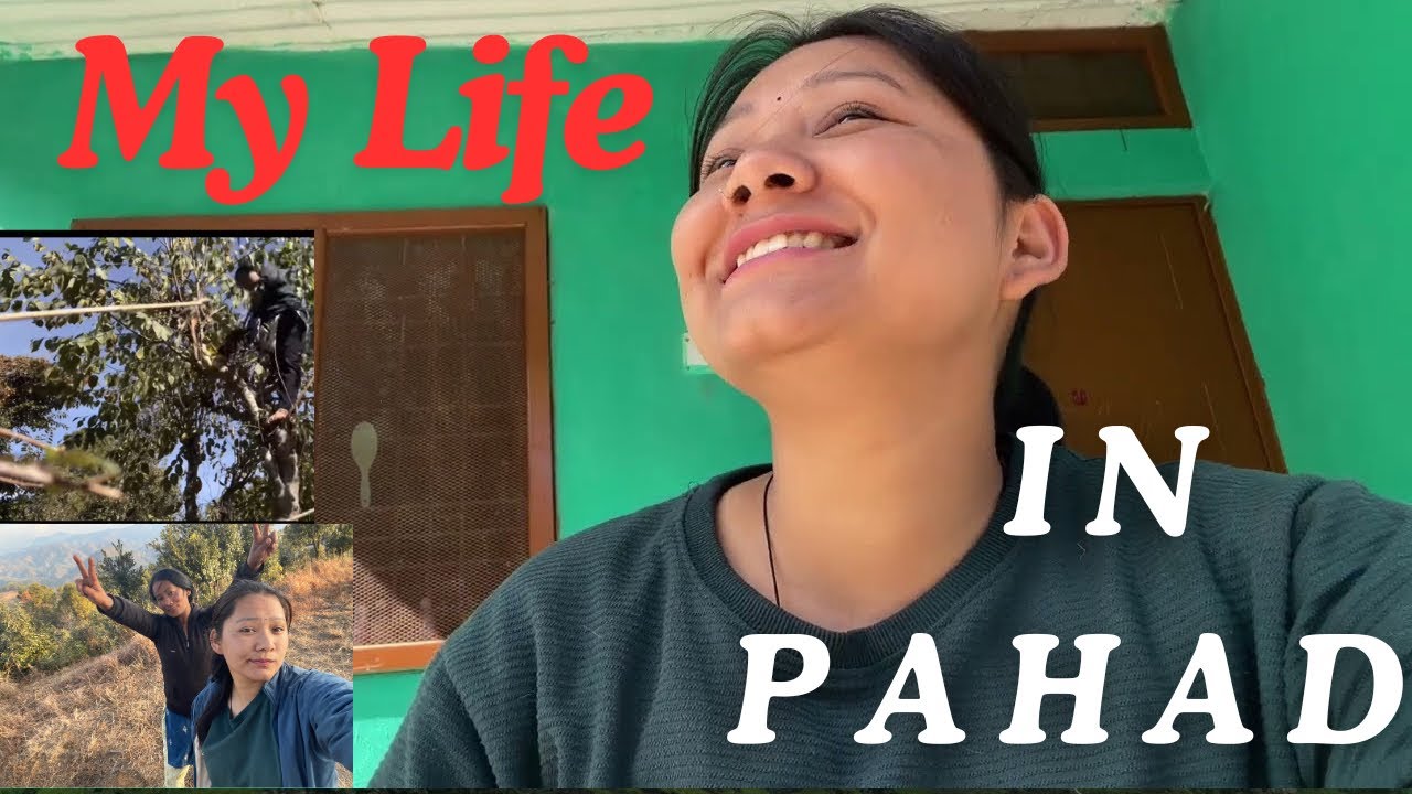 पहाड़ों की दिनचर्या और मस्ती 🤭🥰#minivlog #funny #vlogs #villagelife #phadilifestyle 