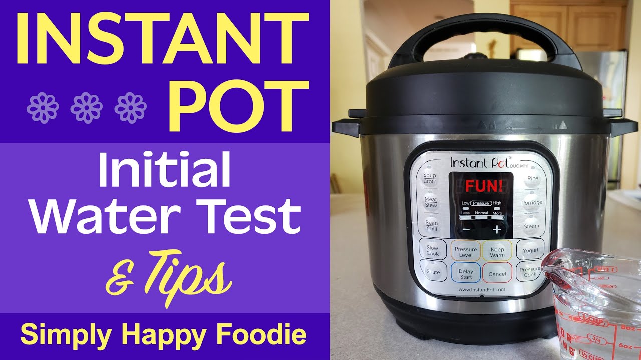 Instant Pot Initial Water Test