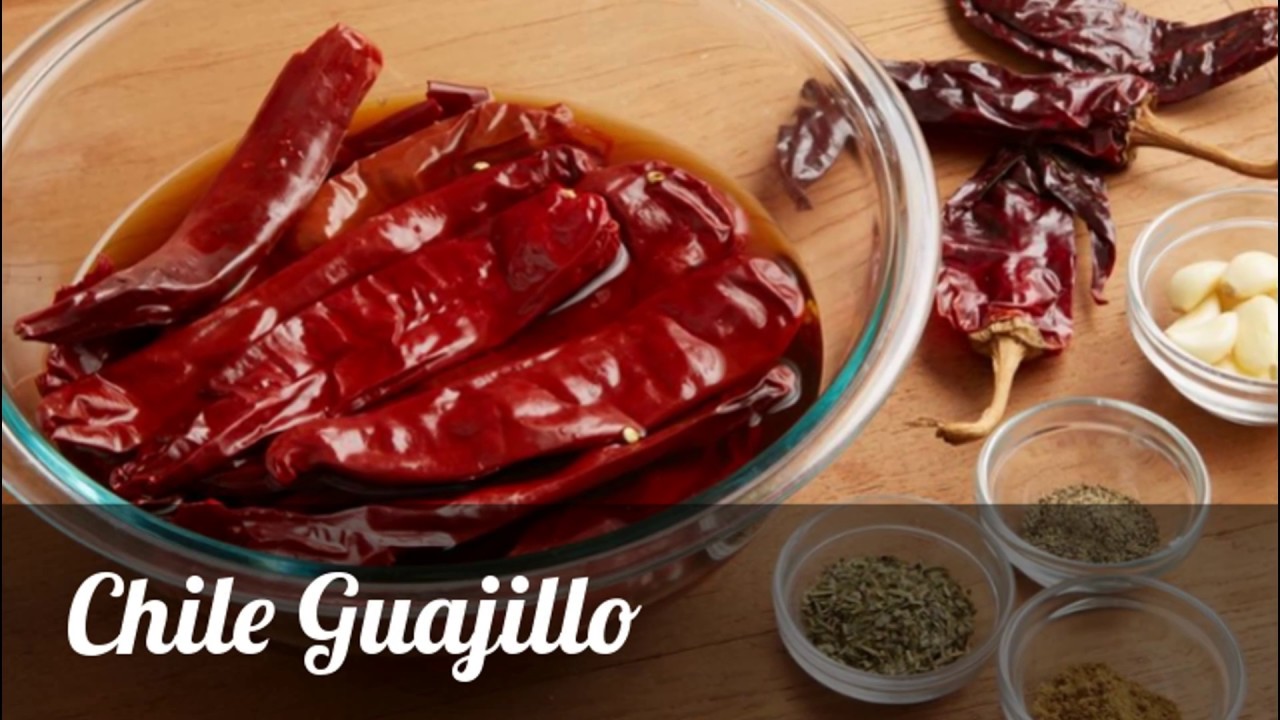 Chile Guajillo. Cultiva en casa es posible..