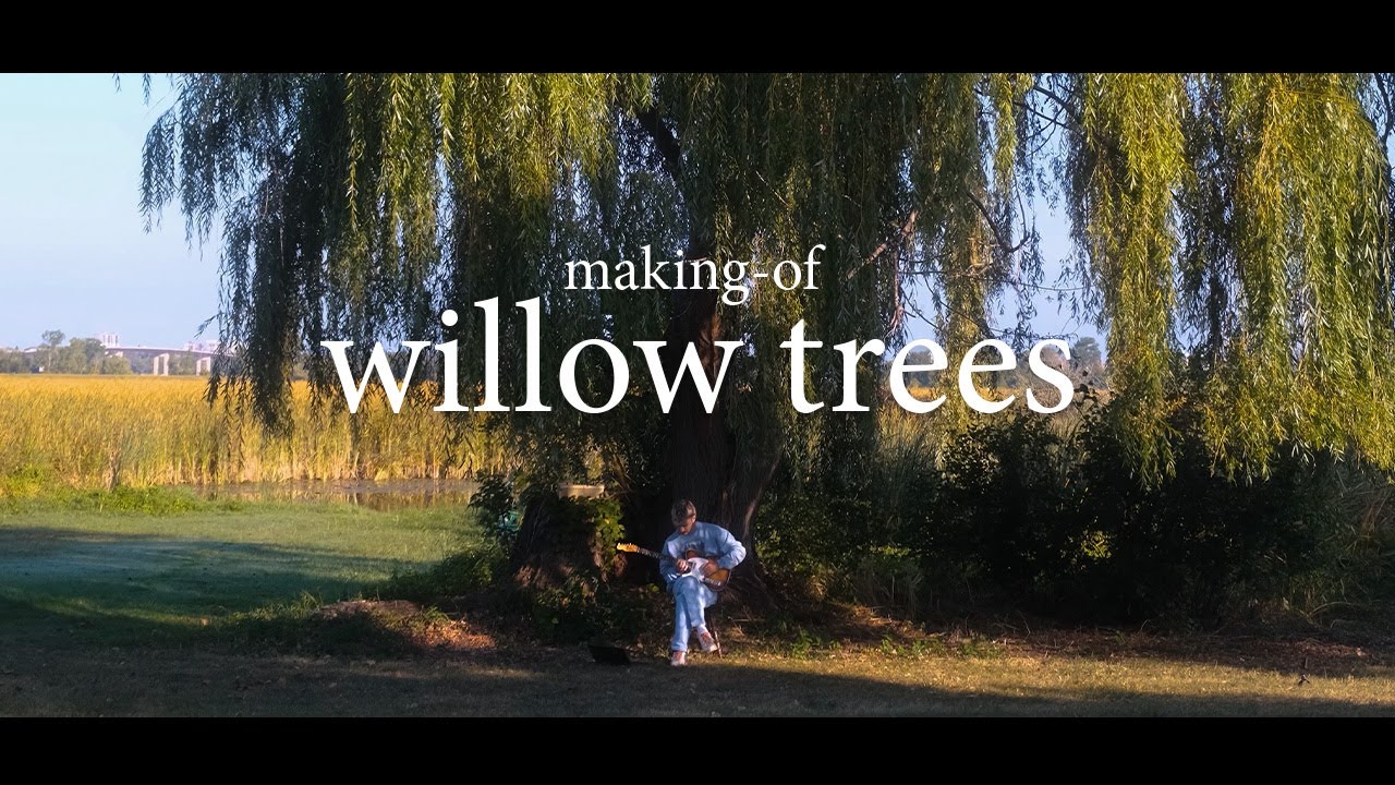 recording calm electric guitar under willow trees