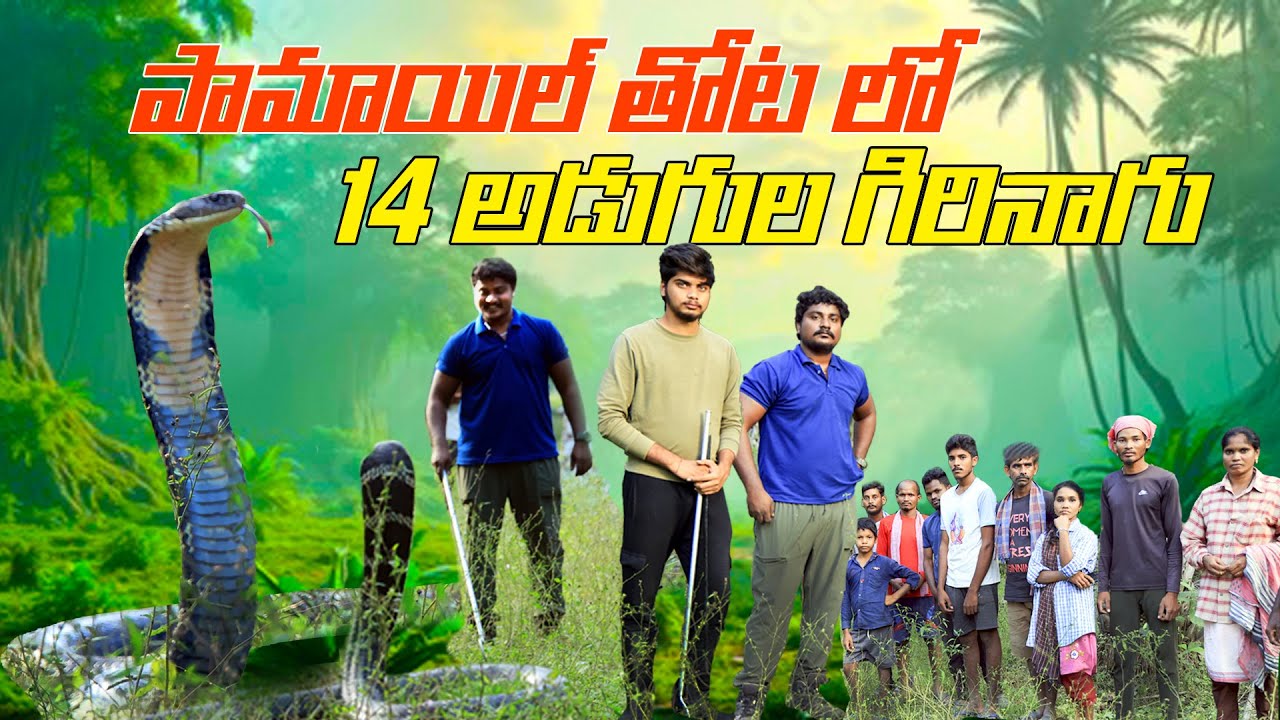 #పామాయిల్ తోటలో 14 అడుగుల గిరి నాగు  # King cobra wild Venkat contact  9494842149